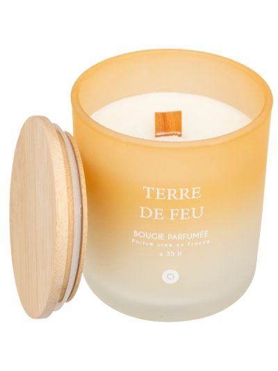 Bougie Parfumée En Pot Sana Terre De Feu 255G
