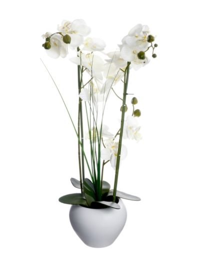 Plante Artificielle Deco Orchidée Avec Vase En Céramique Blanche 53Cm