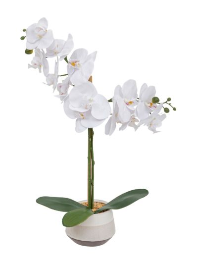 Plante Artificielle Deco Orchidée Clera Avec Vase En Céramique 52Cm
