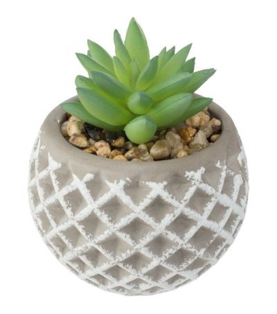 Fausse Plante Succulente Dans Un Pot En Béton 8Cm