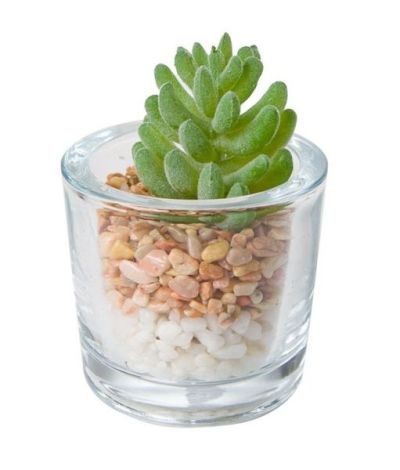 Petite Plante Artificielle Dans Un Vase En Verre 6.5Cm