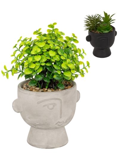 Plante Artificielle Deco Plante Succulente Poussiéreuse Avec Pot En Béton 22Cm - Assortis