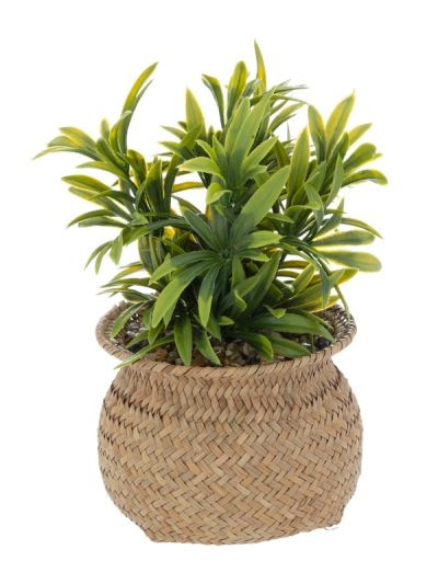Plante Artificielle Deco Jiling Avec Vase Naturel 20Cm