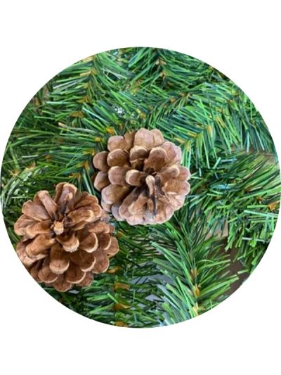 Guirlande Verte Rigide Avec Pommes De Pin 270Cm