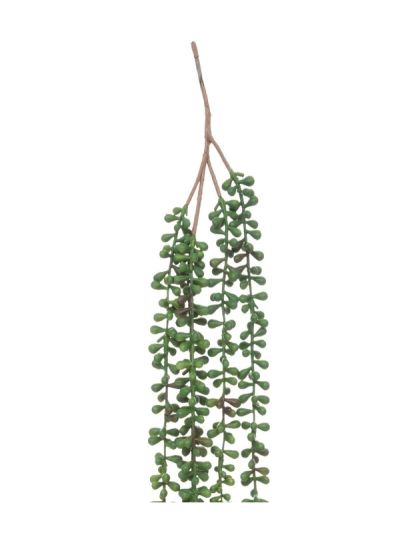 Tige De Plante Suspendue Senecione 73Cm