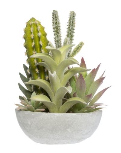 Vase Décoratif Avec Cactus Artificiel 24Cm - Assortis